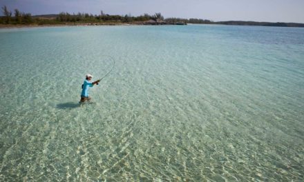 Why You Need a Fly Rod and Reel Devoted to Saltwater