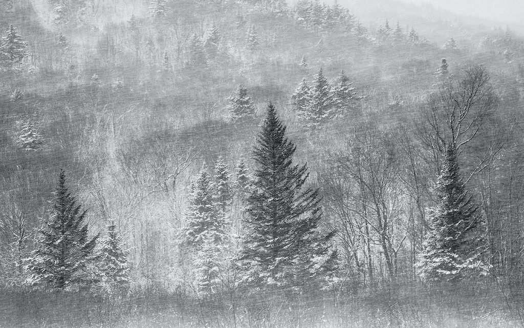 Winter Black And White Assignment Winner Harry Lichtman