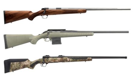 204 Ruger: 3 Rifles Chambered in the Cartridge That’s a Varmint’s Worst Nightmare