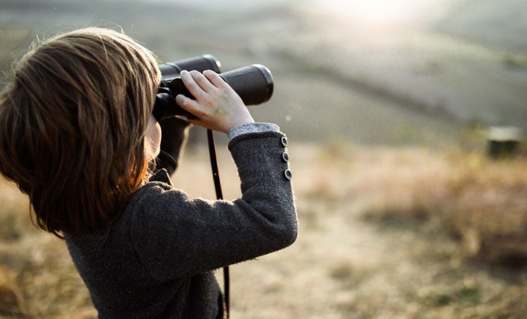3 Best Binoculars for Kids: Perfect for Hiking, Stargazing + More
