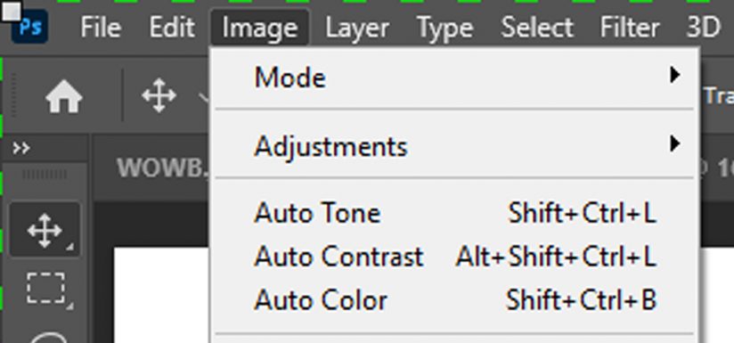 Screen shot showing Photoshop's auto correction tools.