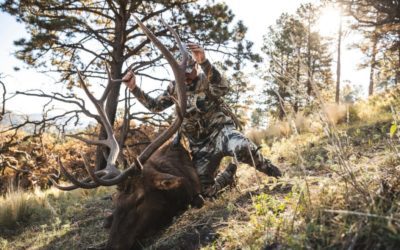 4 States With the Best Public Land Hunting
