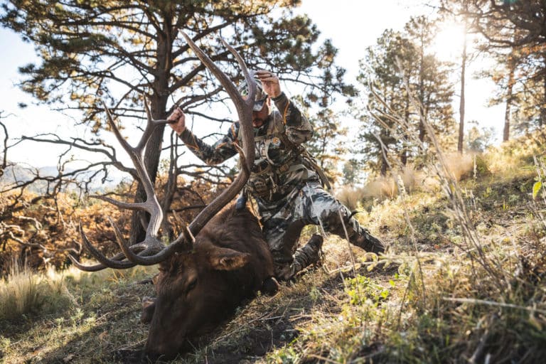 4 States With the Best Public Land Hunting Outdoor Enthusiast