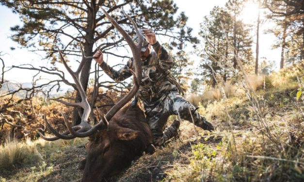 4 States With the Best Public Land Hunting