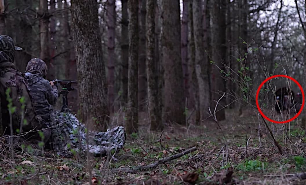 6-Year-Old Makes Perfect Shot on Big Public Land Gobbler