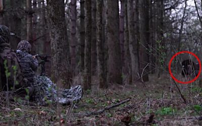 6-Year-Old Makes Perfect Shot on Big Public Land Gobbler