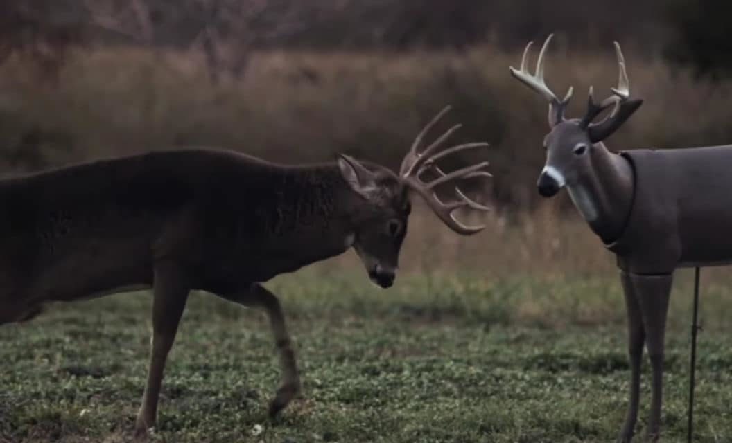 7 Best Full Body Deer Decoys That Pull Big Bucks to Your Stand