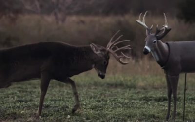 7 Best Full Body Deer Decoys That Pull Big Bucks to Your Stand