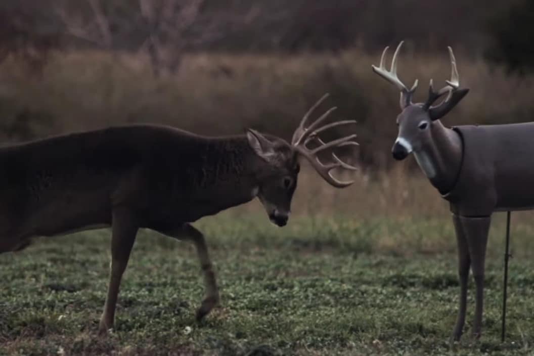 Full Body Deer Decoys