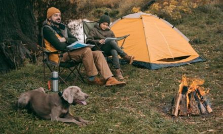 8 Best Outdoor Folding Chairs for Camping
