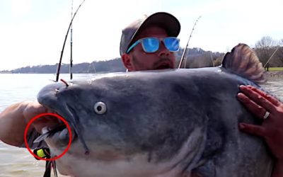 Angler Catches 80-Pound Blue Catfish That Cannibalized Another Catfish