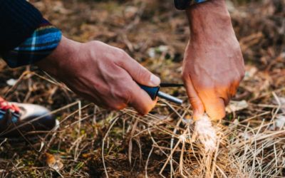 Fire Starters for Camping: 8 Essential Choices