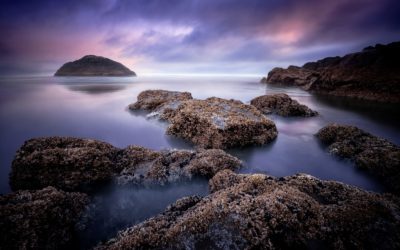 Great Outdoors 2021 Photo Contest Finalists