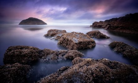 Great Outdoors 2021 Photo Contest Finalists