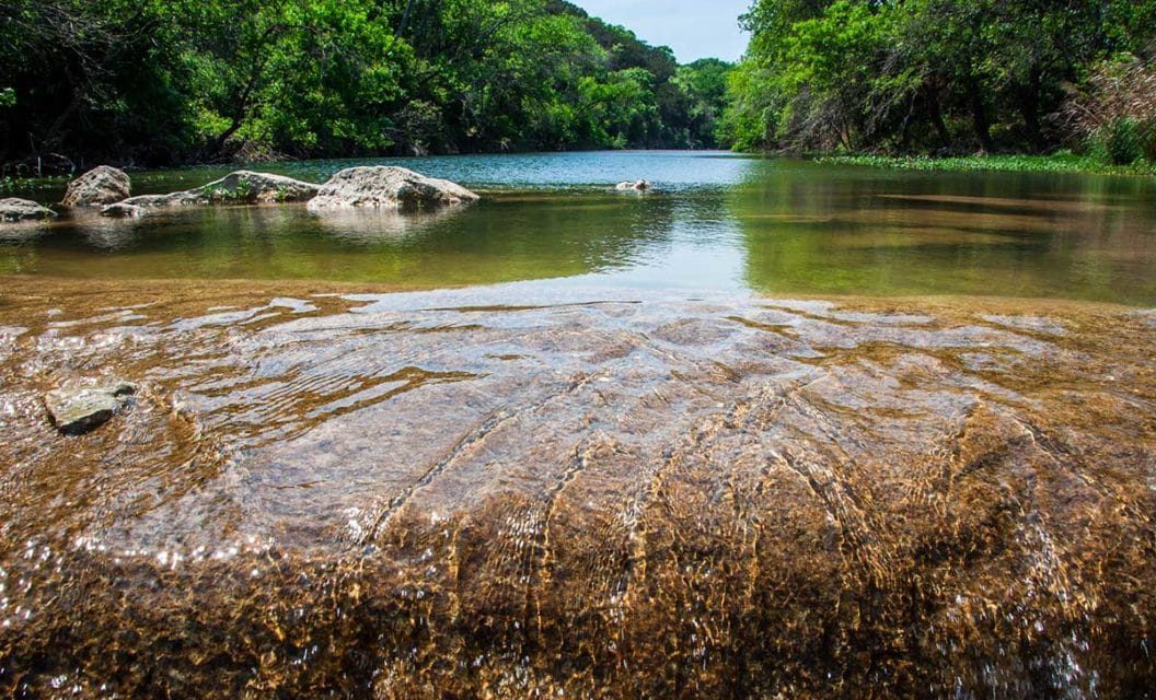 H-E-B and Texas Parks and Wildlife Announce New Conservation Partnership