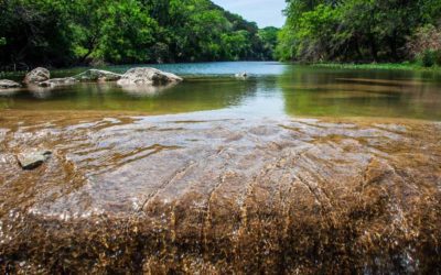 H-E-B and Texas Parks and Wildlife Announce New Conservation Partnership