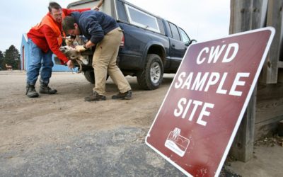 How CWD Has Changed How Some American Deer Hunters Go About Their Season
