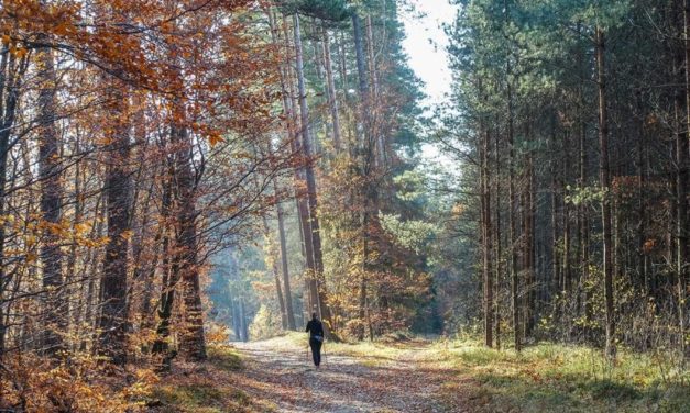 How to Estimate a Hike’s Duration Based on Length, Difficulty, and More