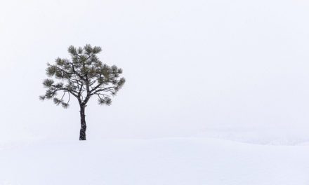 Isolation Assignment Winner Yvonne Baur