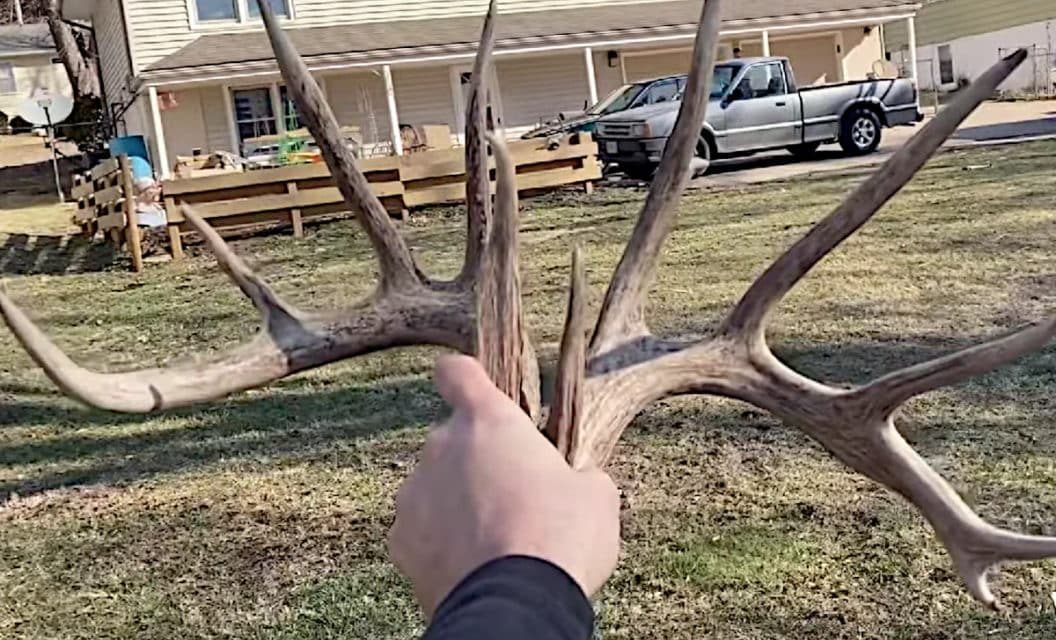 Lucky Hunter Finds Big Matched Set of Shed Antlers in His Own Backyard