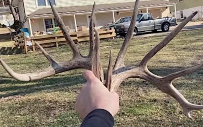 Lucky Hunter Finds Big Matched Set of Shed Antlers in His Own Backyard