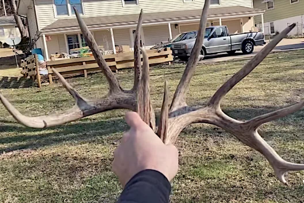 Shed Antlers Backyard