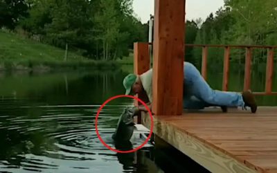 Man Grabs Two Monster Bass By Hand Off a Dock