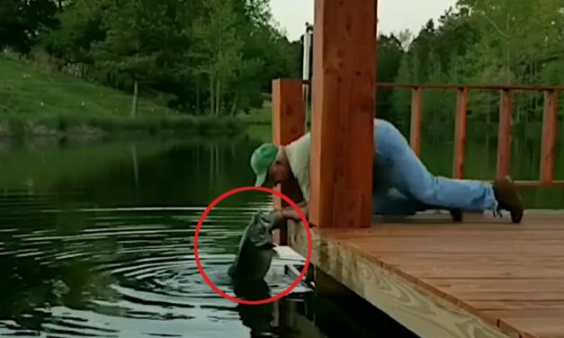 Man Grabs Two Monster Bass By Hand Off a Dock