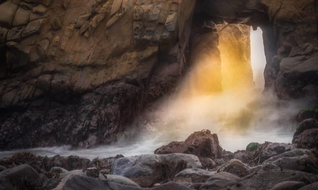 Photo Of The Day By Holly Jansen
