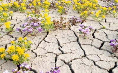 Photo Of The Day By lindsaydanielsphoto