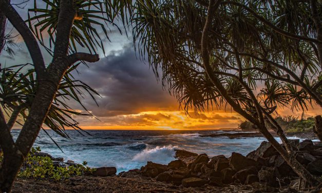 Photographic Portals Assignment Winner Yvonne Baur