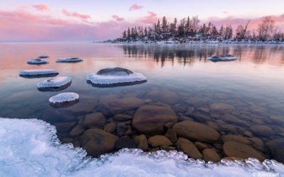Photos Of The Day For March 2022