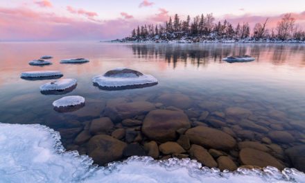 Photos Of The Day For March 2022