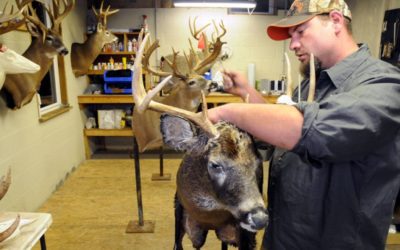 Taxidermist Salary: What the Average Wildlife Artist Makes