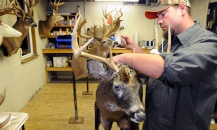 Taxidermist Salary: What the Average Wildlife Artist Makes