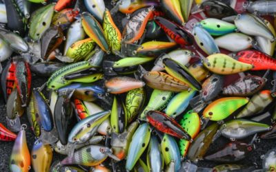 Top Baits, Approaches Through First Half of MLF Bass Pro Tour