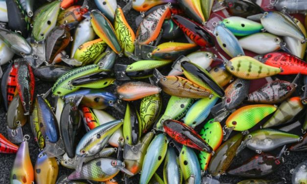 Top Baits, Approaches Through First Half of MLF Bass Pro Tour