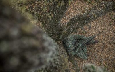 Turkey Hunting Tactics Shouldn’t Be as Complex as Some Hunters Think