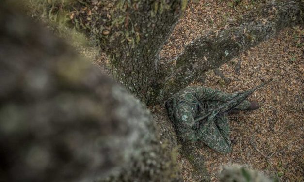 Turkey Hunting Tactics Shouldn’t Be as Complex as Some Hunters Think