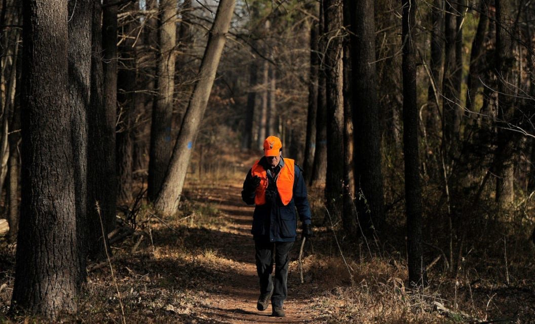 Virginia Legalizes Sunday Hunting on Public Land Starting in July