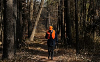 Virginia Legalizes Sunday Hunting on Public Land Starting in July
