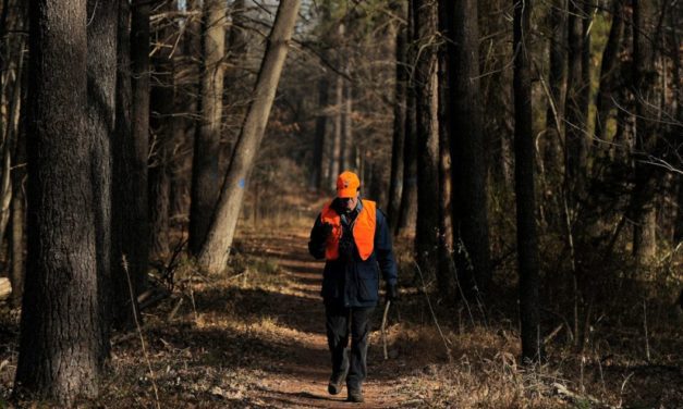 Virginia Legalizes Sunday Hunting on Public Land Starting in July