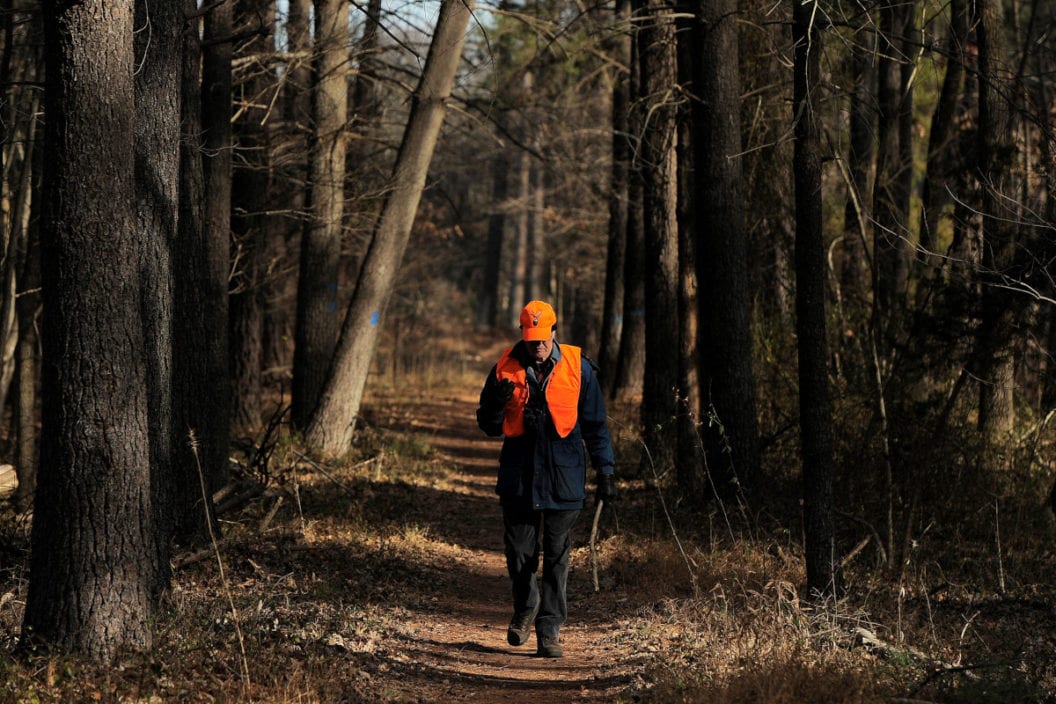 Virginia Sunday Hunting