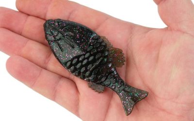 10 Best Soft Plastics Being Used By Pro Anglers Right Now