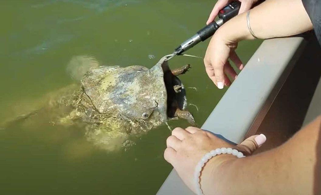 10 Things Seen While Fishing that Seem to Defy Explanation