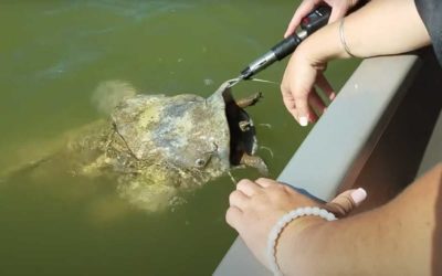 10 Things Seen While Fishing that Seem to Defy Explanation