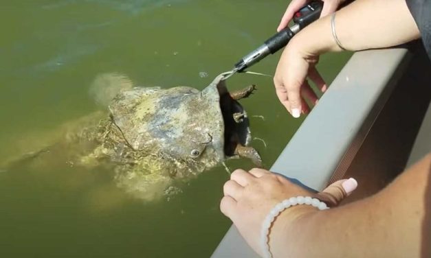 10 Things Seen While Fishing that Seem to Defy Explanation