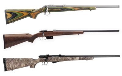 17 Hornet: The Fast, Centerfire Varmint Hunting Alternative to 17 HMR