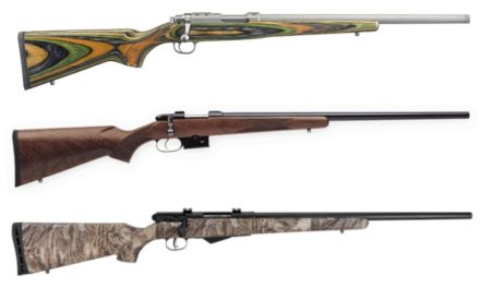 17 Hornet: The Fast, Centerfire Varmint Hunting Alternative to 17 HMR