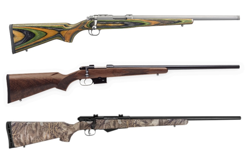 17 Hornet: The Fast, Centerfire Varmint Hunting Alternative to 17 HMR